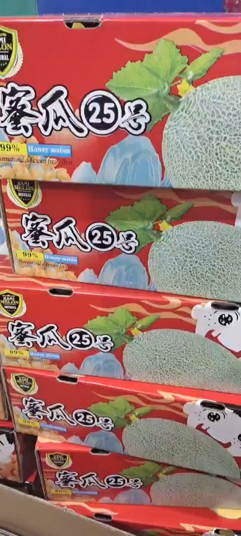 新疆吐鲁番哈密瓜大量上市，供应各大电商平台，各大市场，