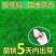 草坪种子绿化护坡四季青免修剪草种草籽庭院别墅路边黑麦草种