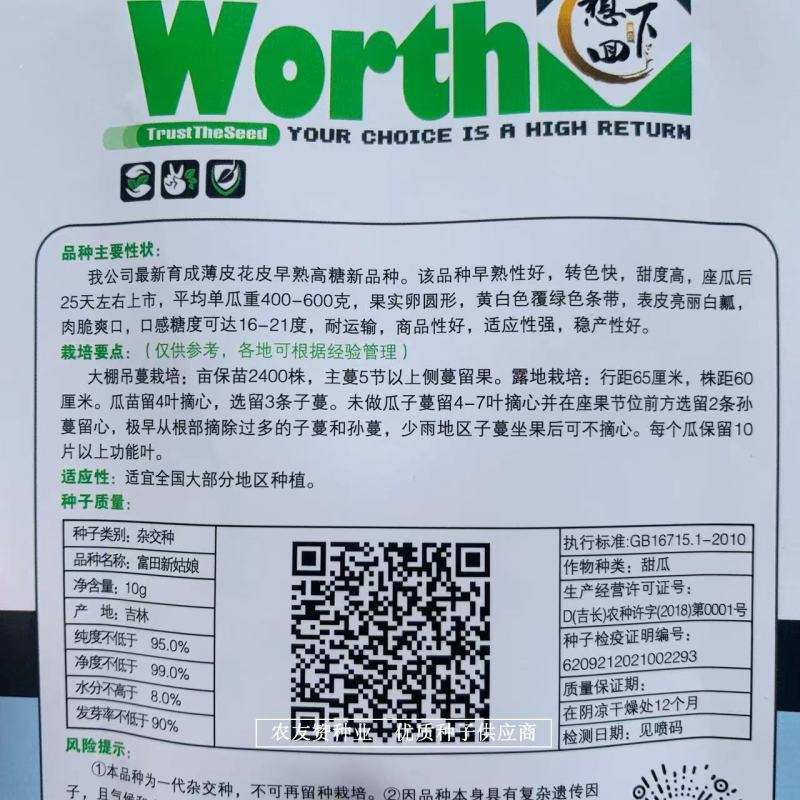 富田新姑娘甜瓜种子高糖甜瓜品种薄皮花皮甜瓜种子白肉