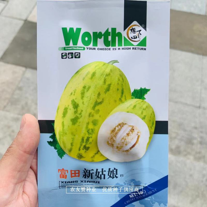 富田新姑娘甜瓜种子高糖甜瓜品种薄皮花皮甜瓜种子白肉