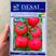 德赛0801石头型番茄种子荷兰引进粉红番茄种子西红柿种子