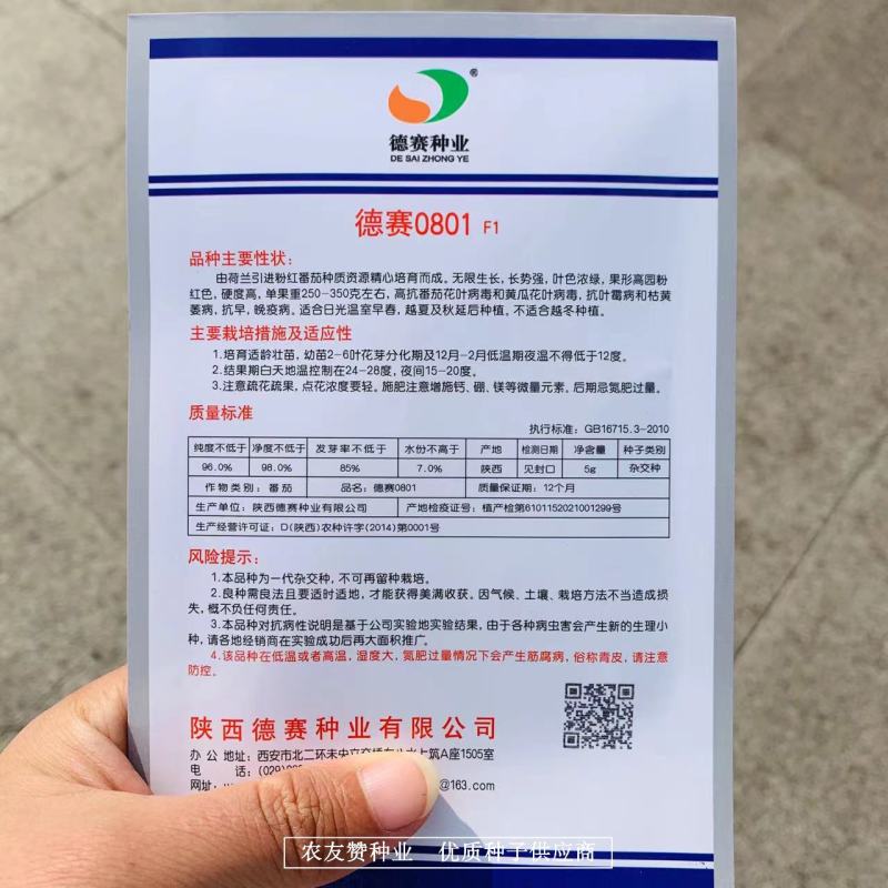 德赛0801石头型番茄种子荷兰引进粉红番茄种子西红柿种子
