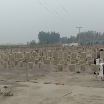 2022年鲜地瓜加工地瓜淀粉，鲜地瓜粉粉条，宽两个规格