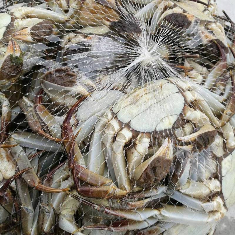 湖北精品洪湖大闸蟹，蟹黄多兴化包邮塘口直发物美价廉