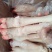 羊蹄冷冻食品新鲜羊蹄羊爪子地摊货源批发