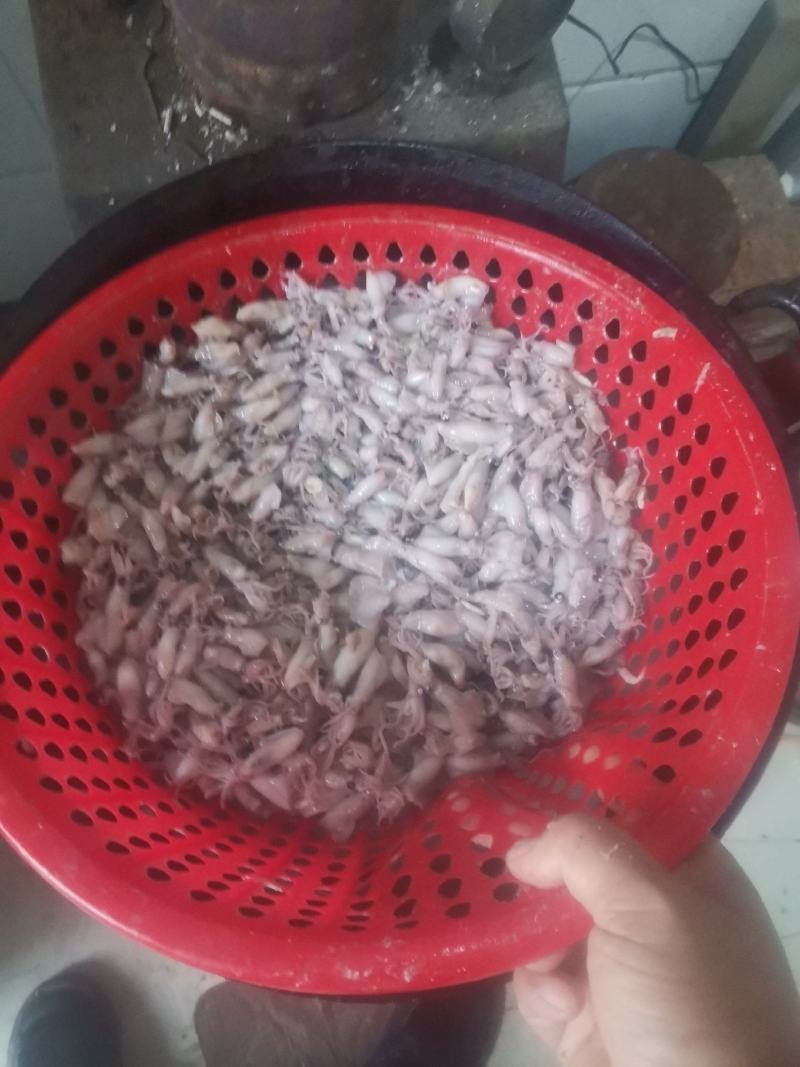 冯家海产