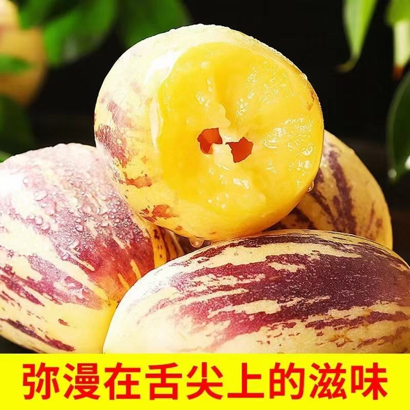 【牛商推荐】甘肃人参果产地直发一手货源保质保量