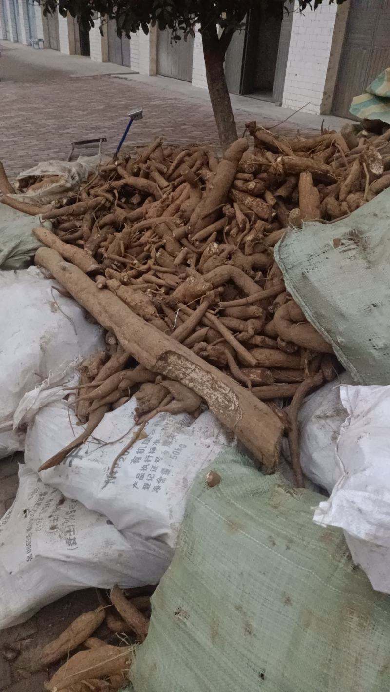 野生瓜蒌根