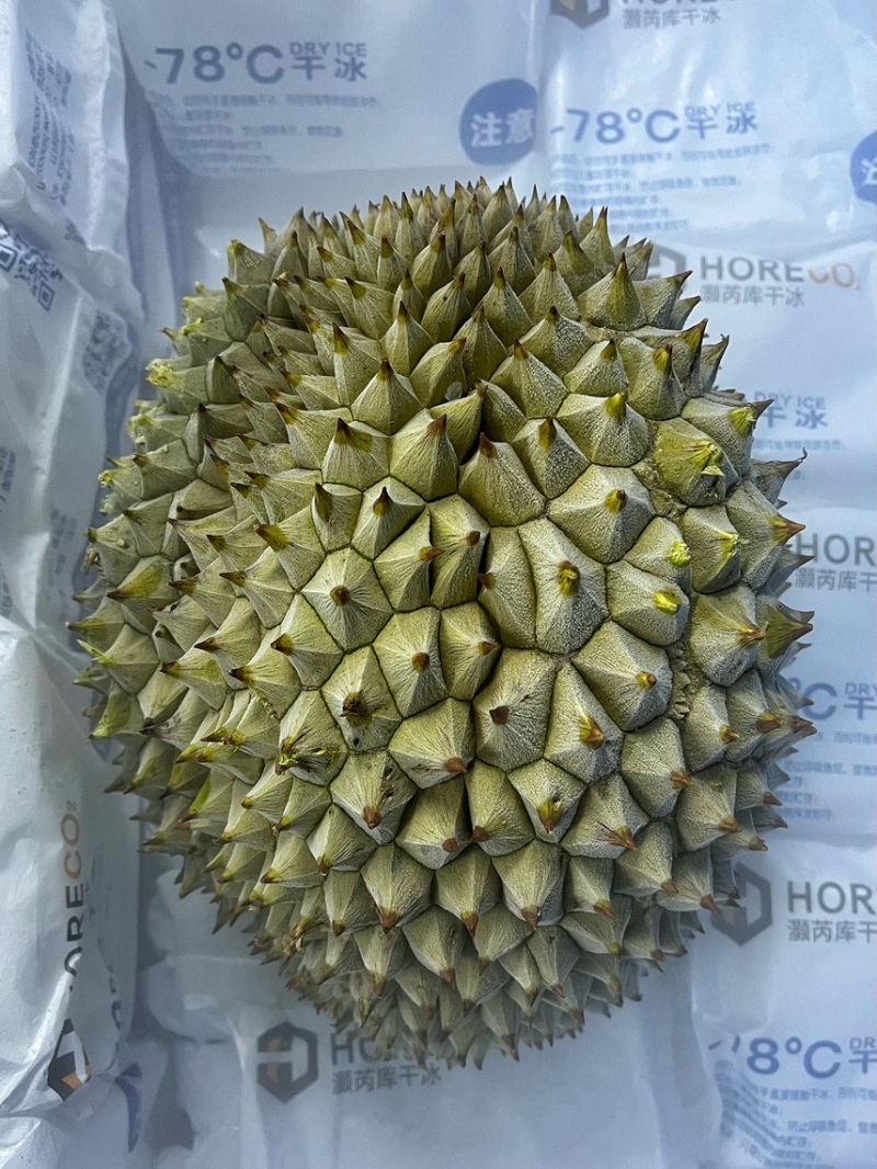 【树上熟】液氮干尧榴莲电商一件代发大量现货价格优惠