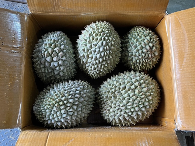 【树上熟】液氮干尧榴莲电商一件代发大量现货价格优惠