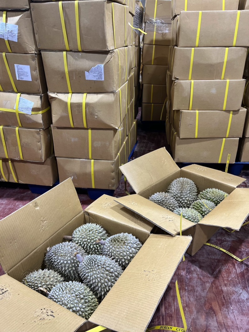 【树上熟】液氮干尧榴莲电商一件代发大量现货价格优惠