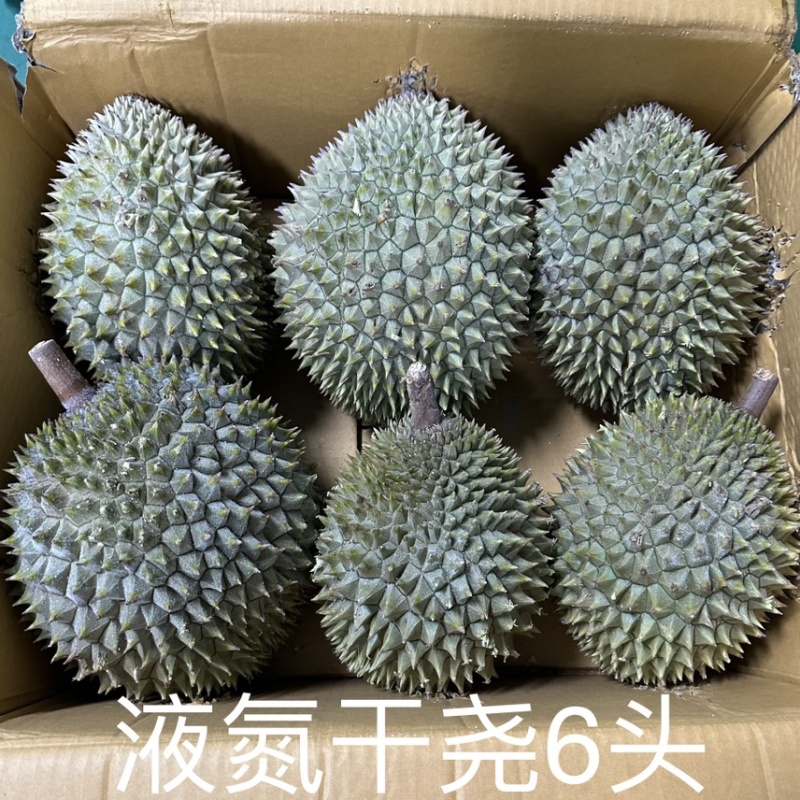 【树上熟】液氮干尧榴莲电商一件代发大量现货价格优惠