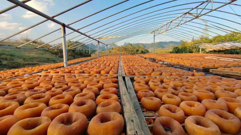 2022年新鲜桂林柿饼圆饼吊饼自然霜降柿饼包邮一件代发