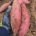 济薯26板栗薯黄心无丝山东临沭
