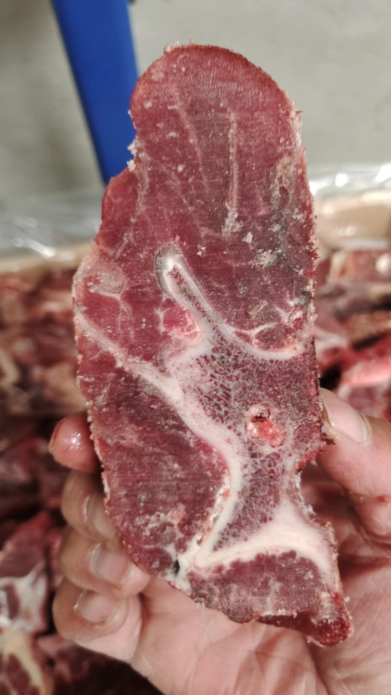 牛脖骨