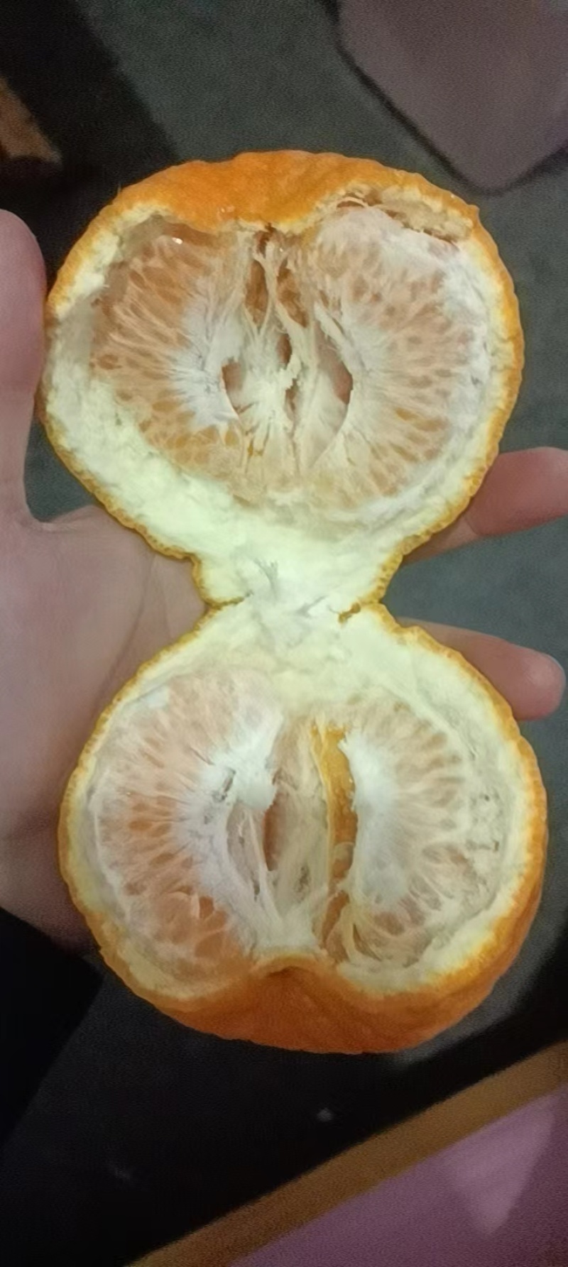 自家种的耙耙柑口感好个头大