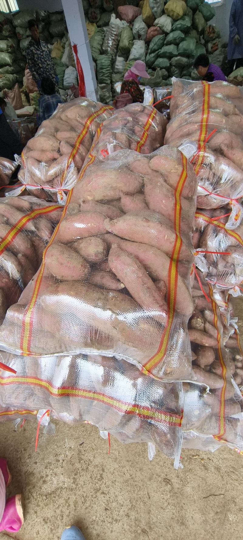 电商板栗红薯济薯26粉糯香甜