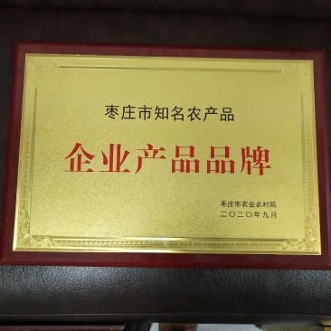 食用菌菌棒平菇菌棒到家划口既出菇高产菌棒23X53