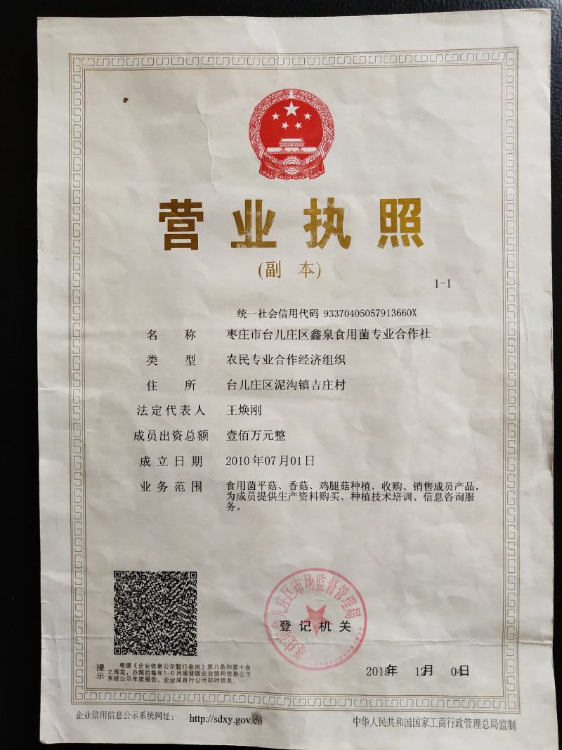 食用菌菌棒平菇菌棒到家划口既出菇高产菌棒23X53