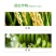 安道麦辉丰45%咪鲜胺杀菌剂防治炭疽疮痂白粉稻瘟叶斑病