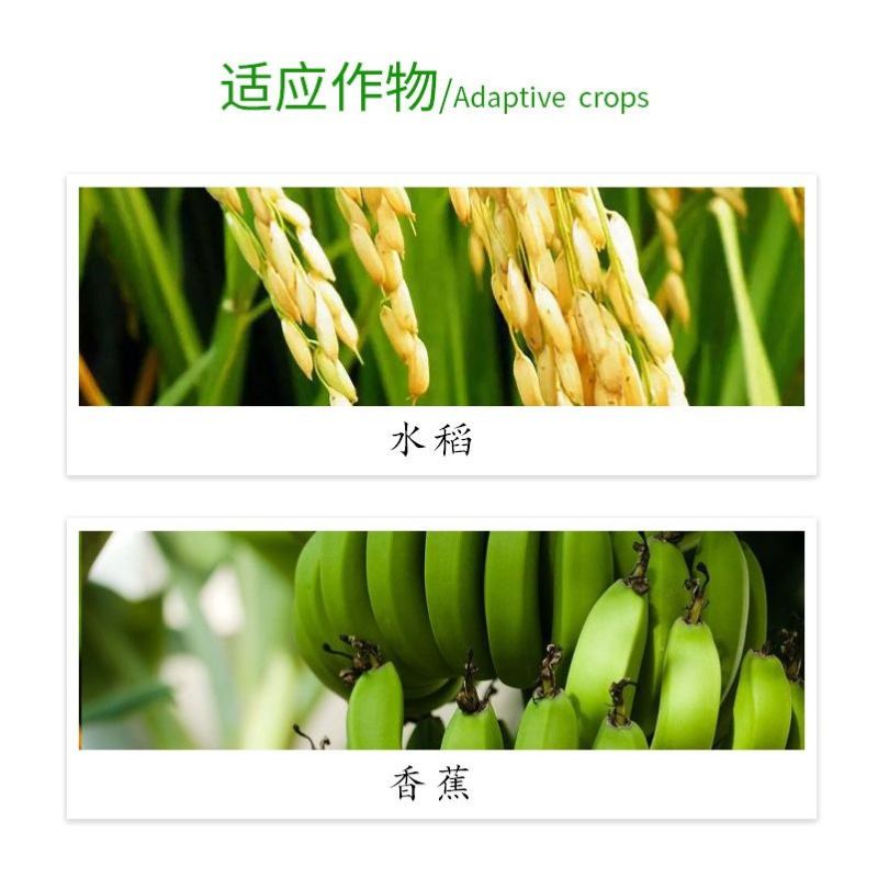 安道麦辉丰45%咪鲜胺杀菌剂防治炭疽疮痂白粉稻瘟叶斑病