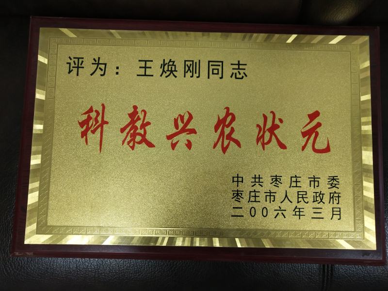 食用菌菌棒平菇菌棒到家划口既出菇高产菌棒23X53