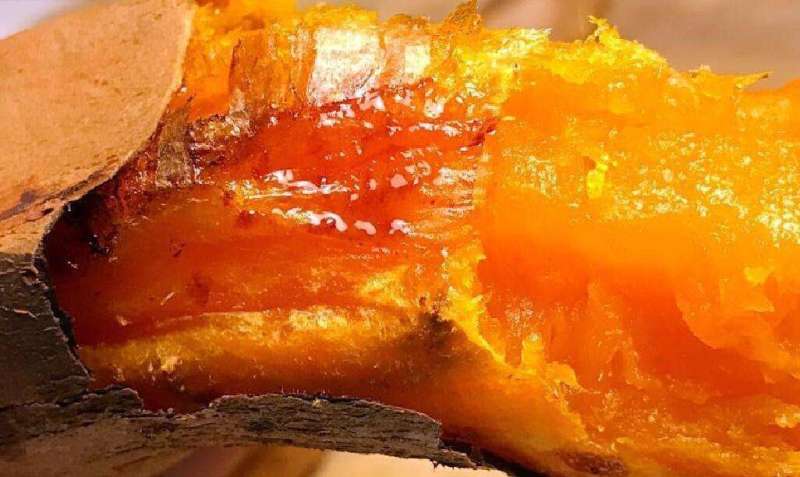烟薯，红薯产地常年有货，各种品种都有，一手货源，坏烂包赔