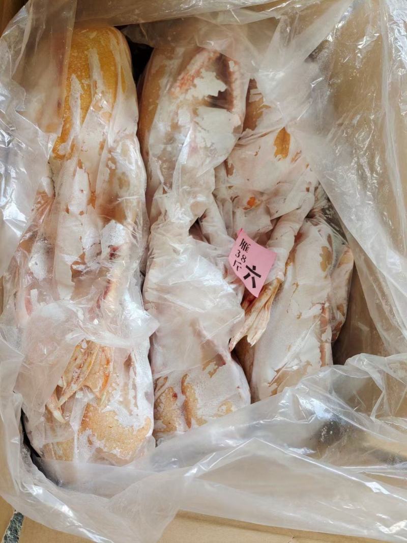 雁鹅！单只套单纸箱包装！厂家直销！规格齐全