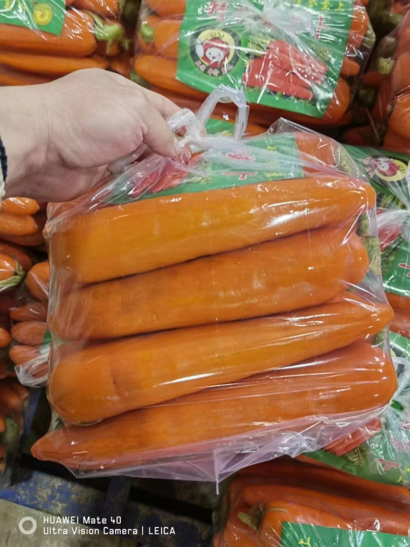 胡萝卜大红精品自己基地货，货源充足，价格优惠，欢迎采购