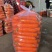 胡萝卜大红精品自己基地货，货源充足，价格优惠，欢迎采购