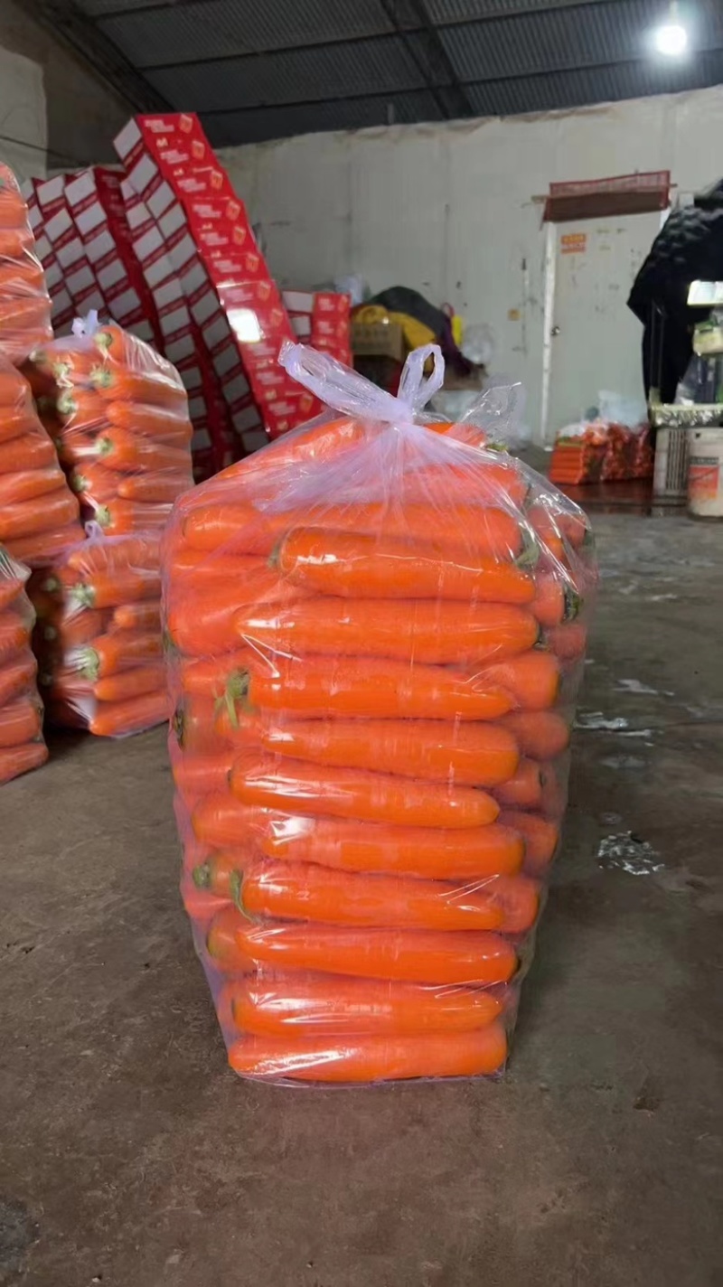 胡萝卜大红精品自己基地货，货源充足，价格优惠，欢迎采购