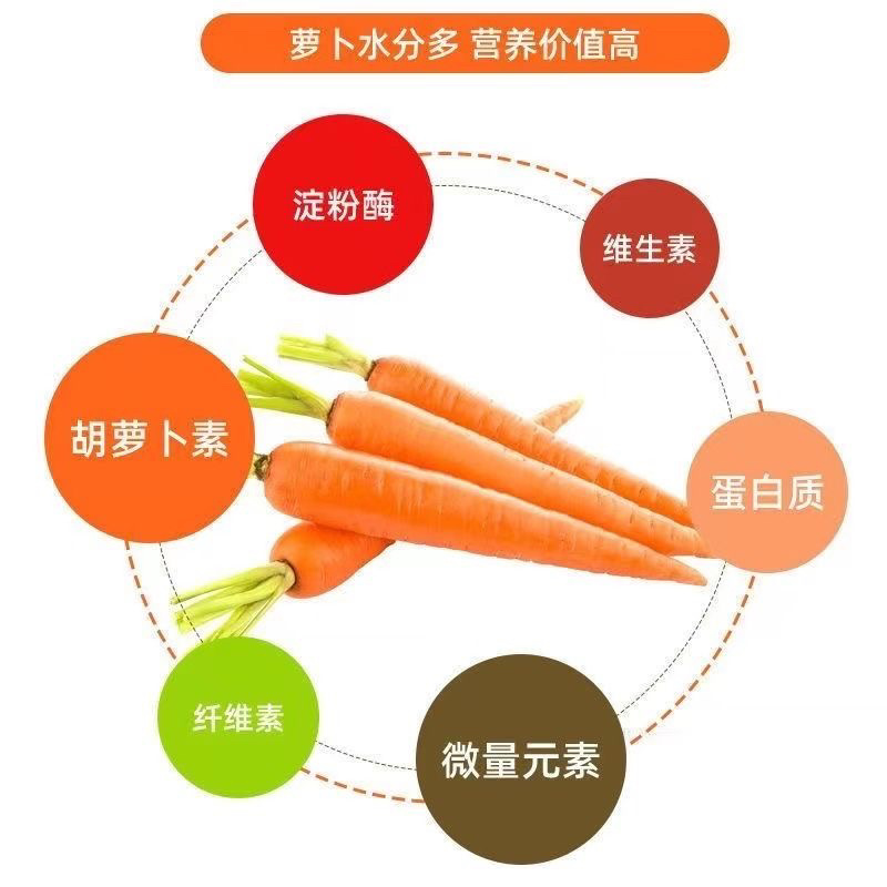 胡萝卜中条大头小条次品，规格齐全，价格优惠欢迎采购