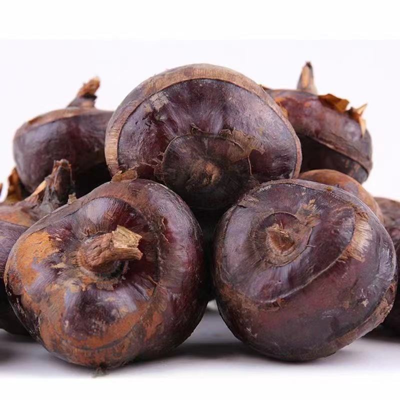 【精品】荸荠去皮珍珠马蹄，一手货源产地直发量大从优