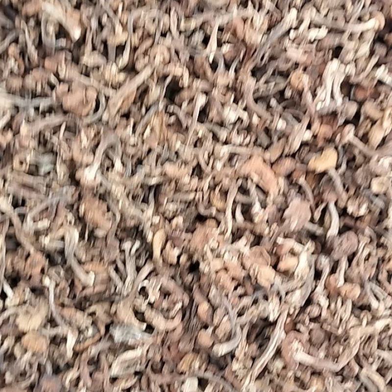 产地直发纯黑龙江本地榛蘑过筛子货发货不咬皮保证质量。