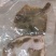 多宝鱼野生多宝鱼深海比目鱼大连野生