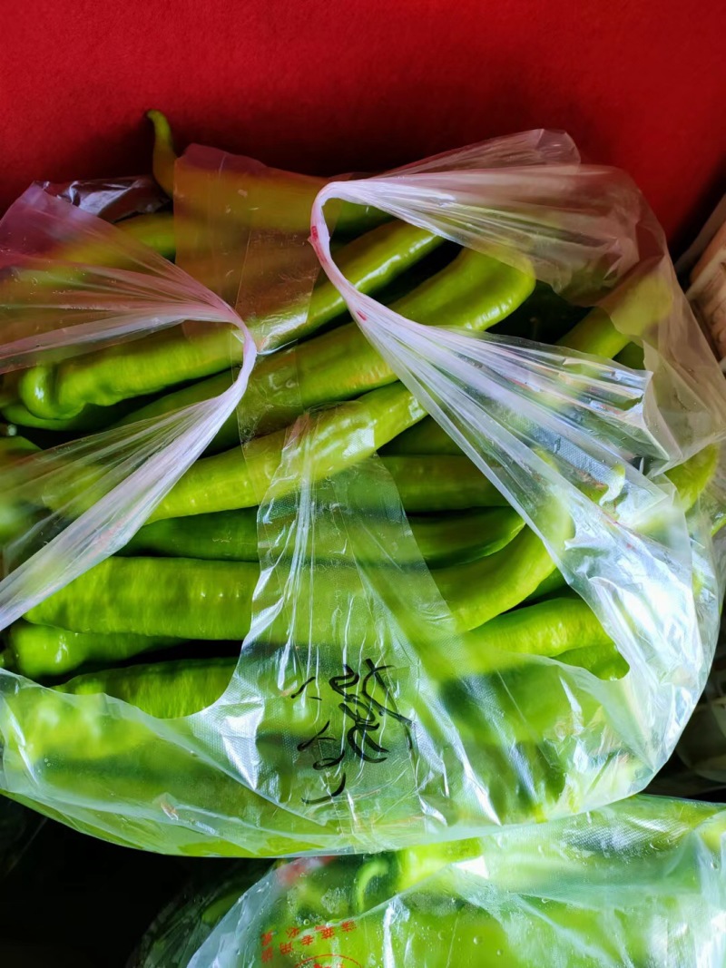 【精品】黄皮尖椒，货源充足，价格实惠，品质优良，欢迎选购