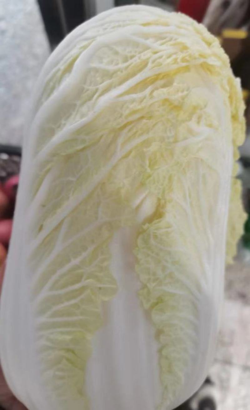 娃娃菜，大娃娃菜，小娃娃菜