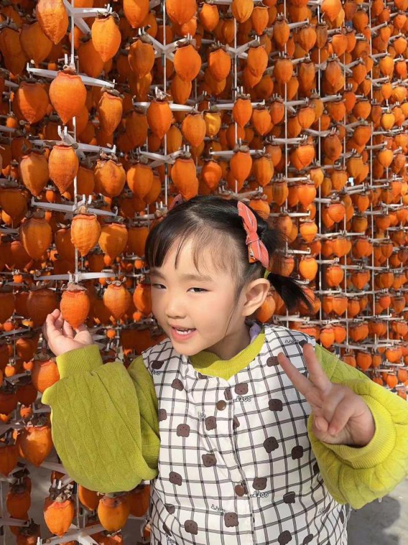 陕西渭南正宗富平柿饼支持一件代发可批发零售欢迎选购