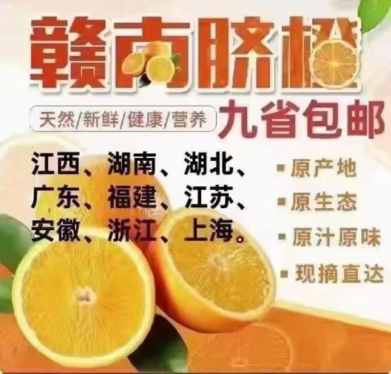 【赣南脐橙】江西脐橙，一件代发，送礼好货，十斤，二十斤