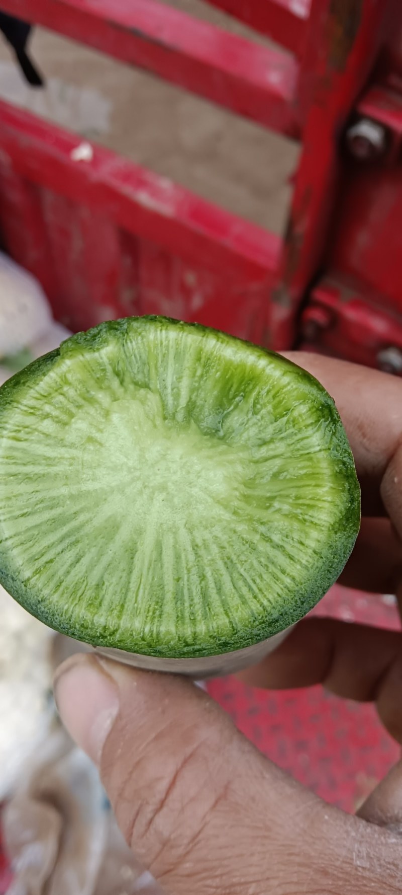 水果萝卜有货中须要的老板与我联系