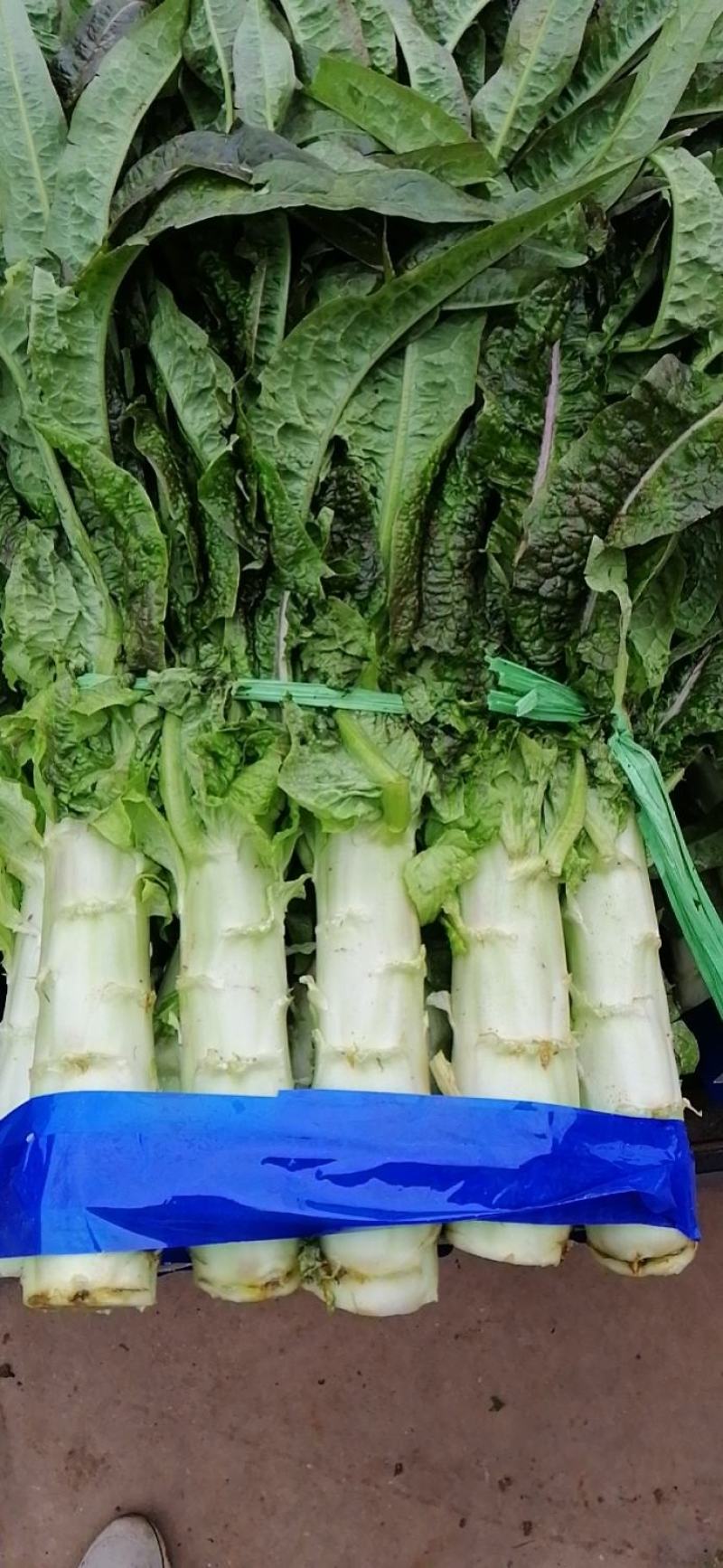 【高品质】湖北红莴笋万亩基地货源充足，质量好，品质保证。