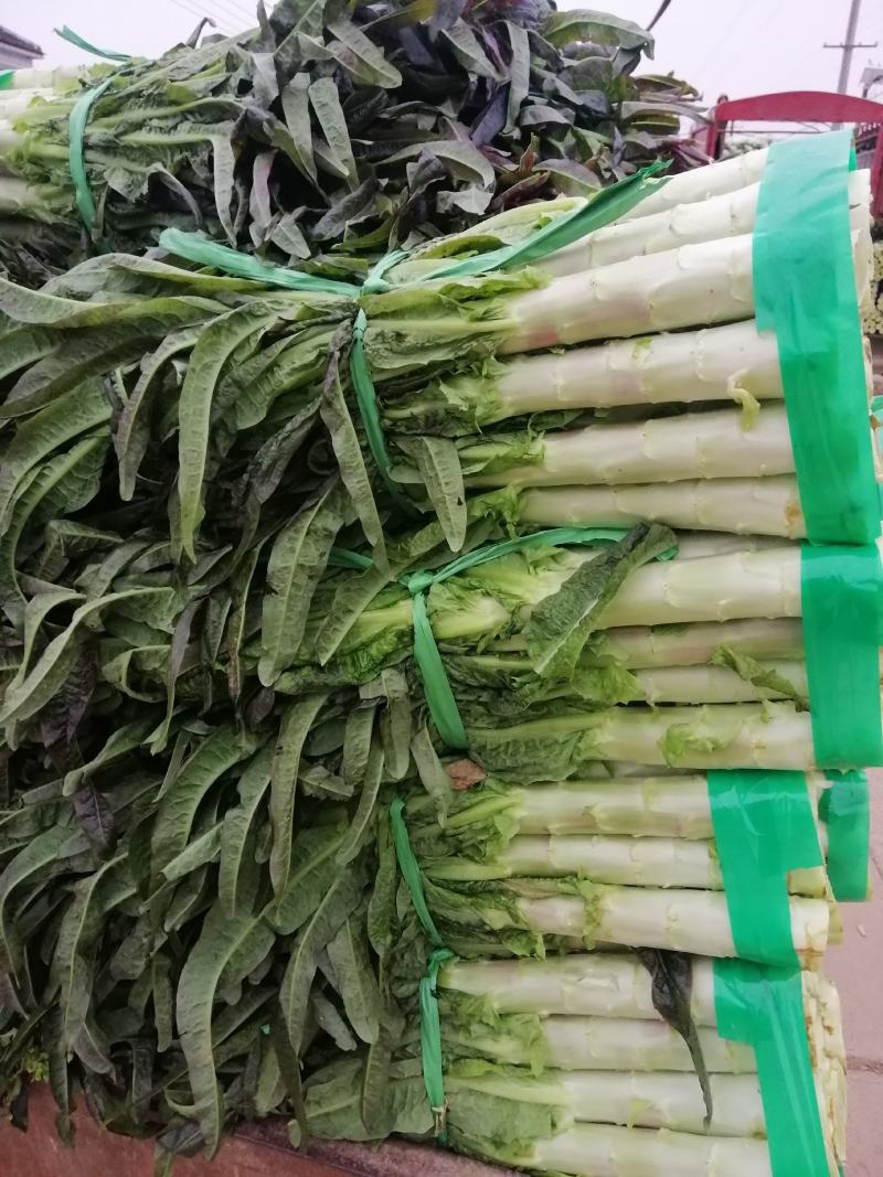 【高品质】湖北红莴笋万亩基地货源充足，质量好，品质保证。