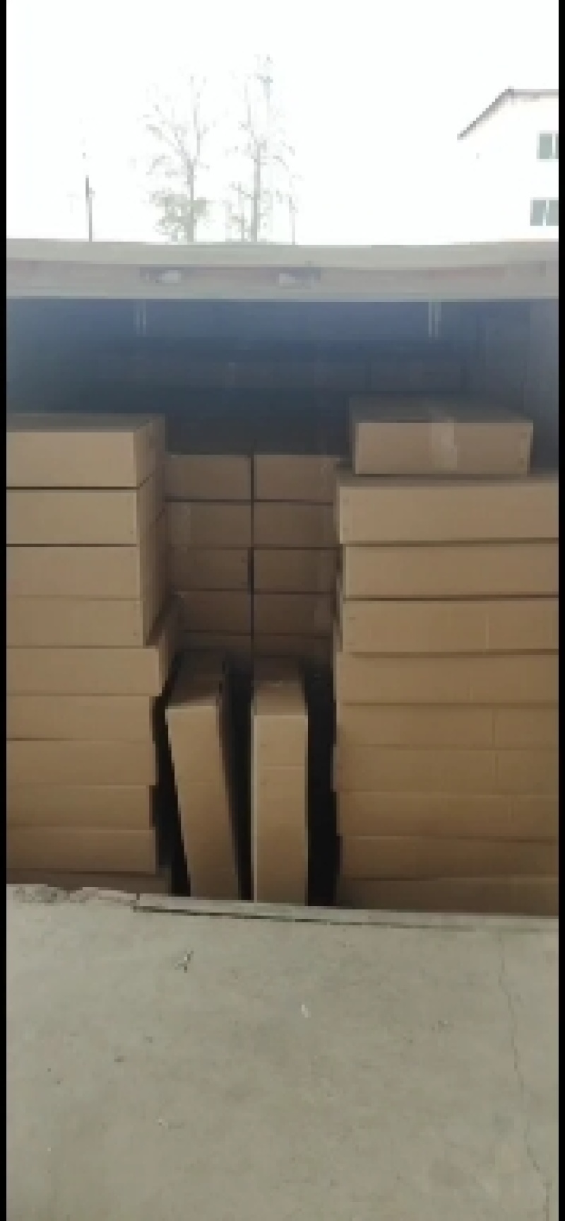 嫩番鸭全鸭（又名红嘴鹅）黄皮白皮均可预订厂家直销广招代理