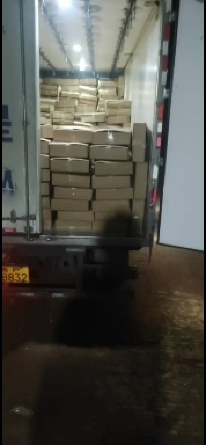 嫩番鸭全鸭（又名红嘴鹅）黄皮白皮均可预订厂家直销广招代理