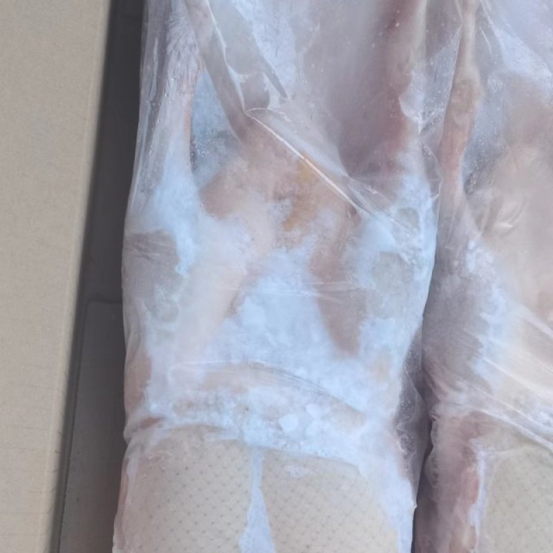 嫩番鸭全鸭（又名红嘴鹅）黄皮白皮均可预订厂家直销广招代理