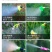 双泵核打药机，50米管子