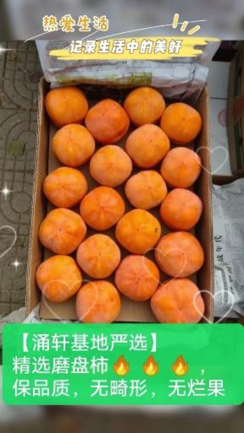 磨盘柿柿子产地大量供应各大社区团购电商平台平台批发市场