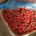 优质圣女果口感甜品质放心今天1.3基地发货