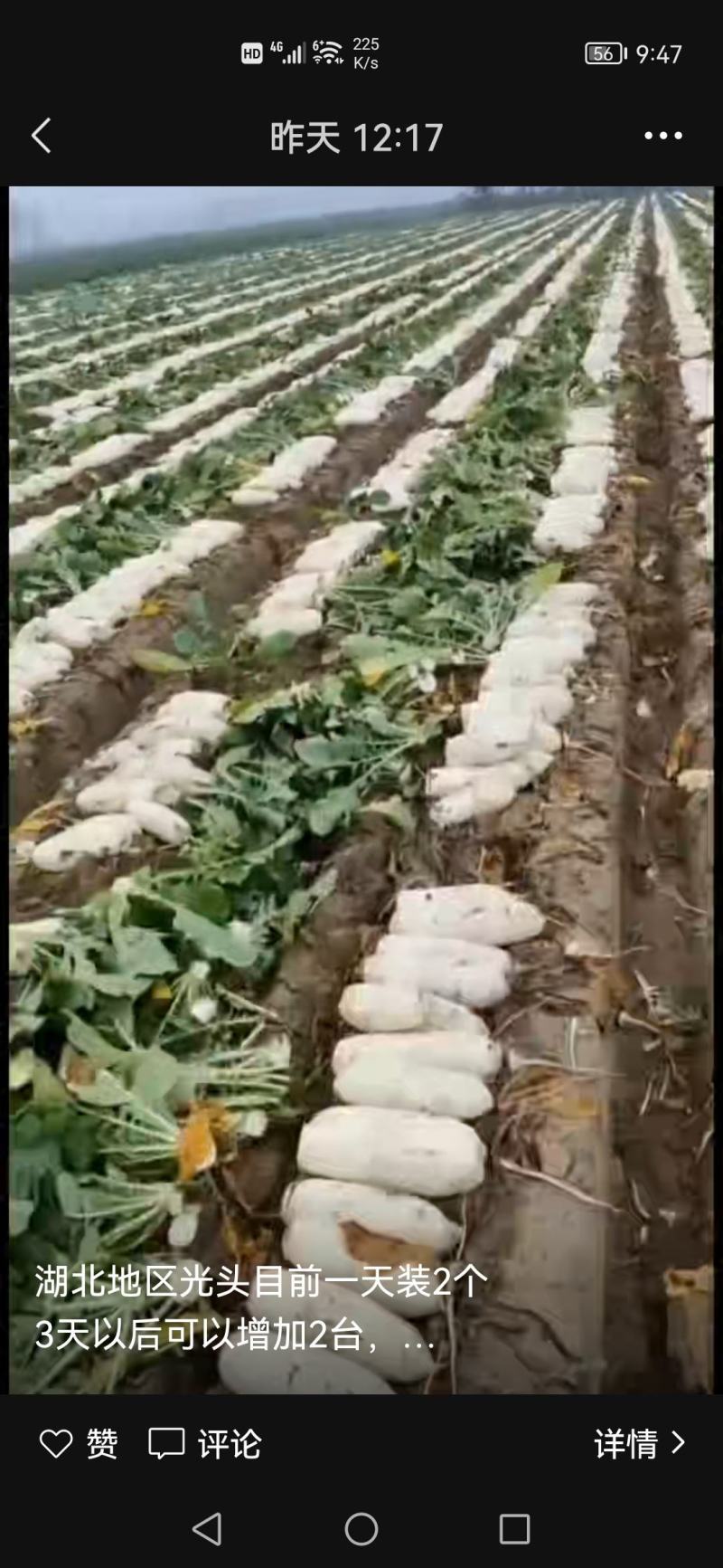 工厂萝卜