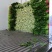 西芹河南开封芹菜小香芹品质好价格低货源足代收代发全